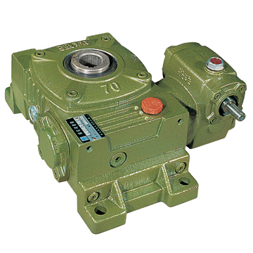 Cast Iron Worm Gear Reducer