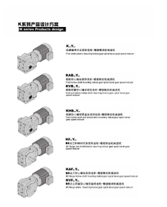 Qiangzhu Helical Gearbox Motorreductor